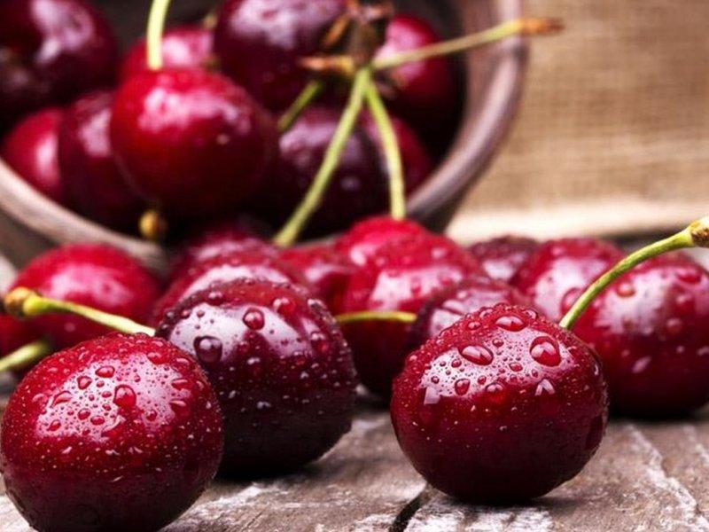 Вишня купить саженцы из питомника в Перми